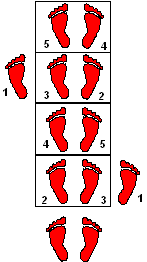 5 count ladder agility drill