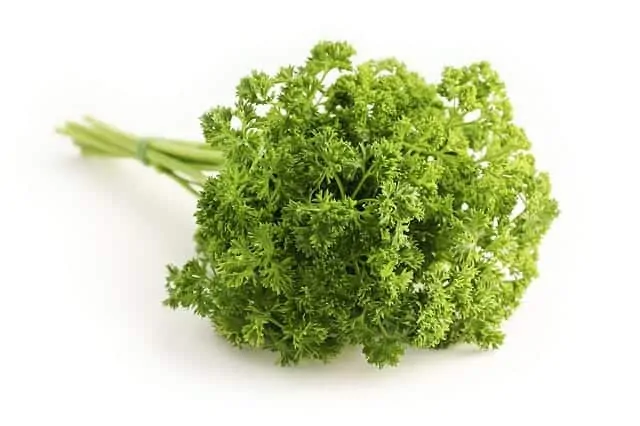 parsley 1665402 640