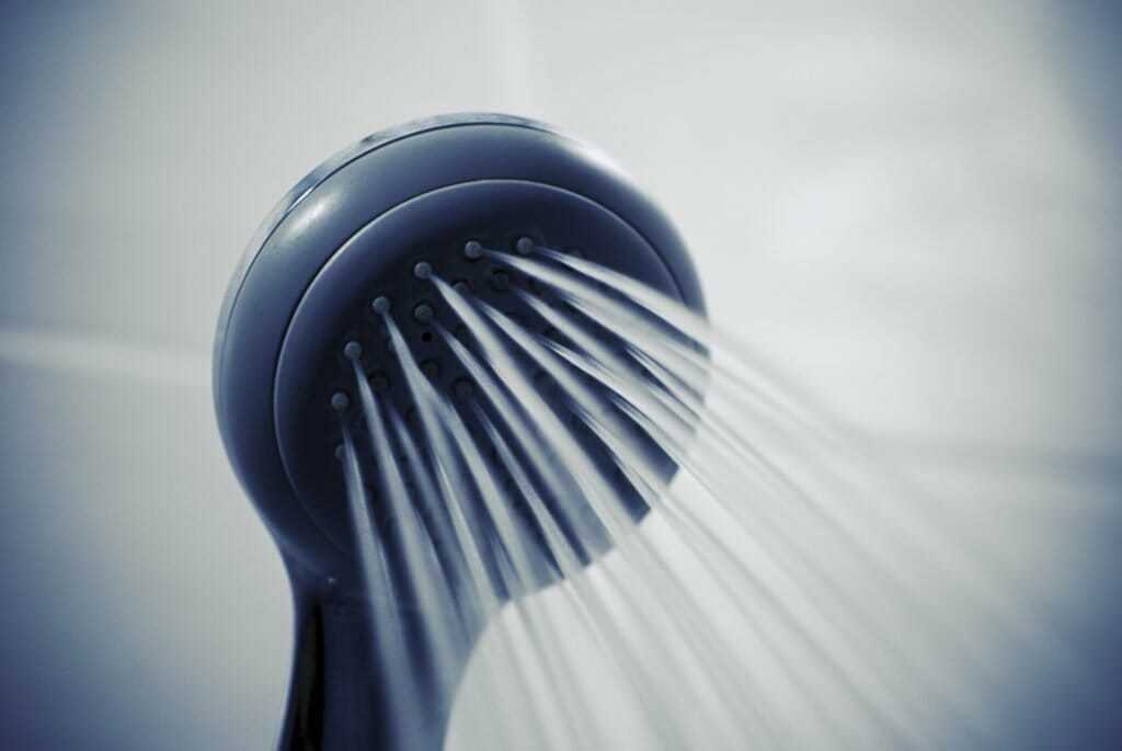 best-organic-shampoo