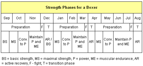 Phases of strength for a boxer Phases of strength for a boxer