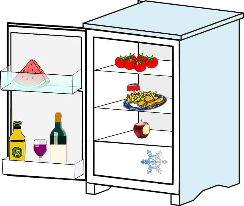 fridge