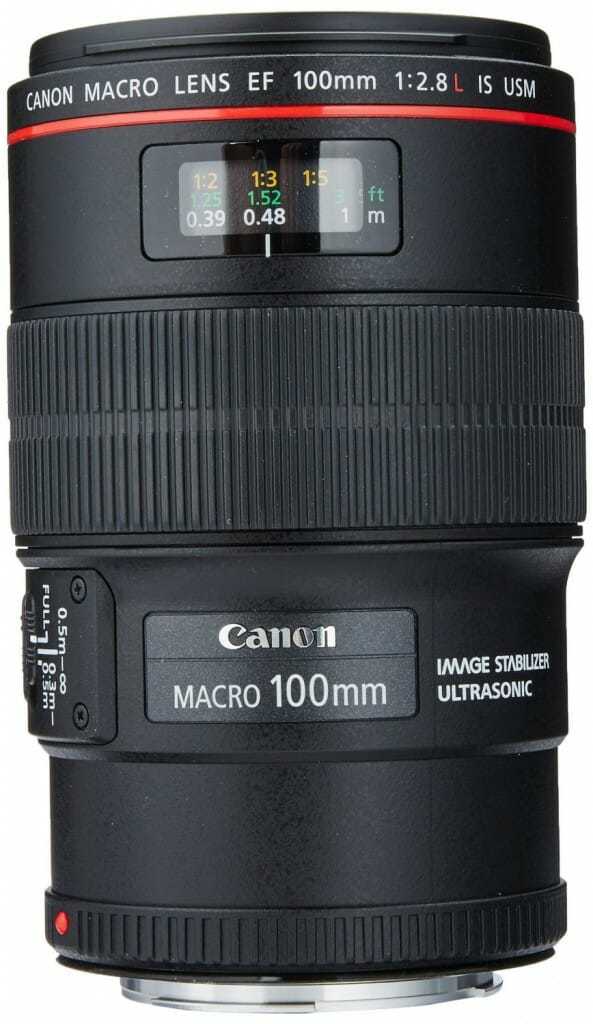 Best Macro Lens for Canon Jen Reviews