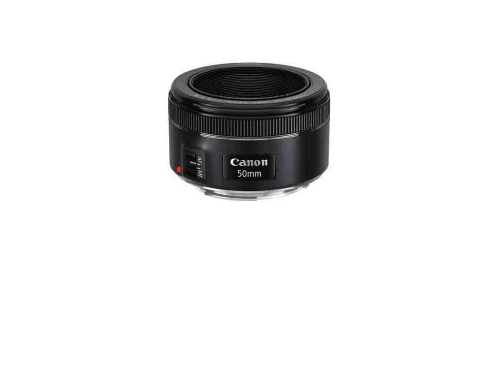 Best Macro Lens for Canon Jen Reviews