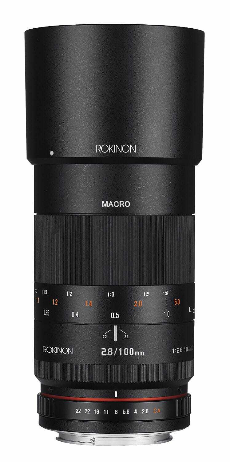 Best Macro Lens for Canon Jen Reviews