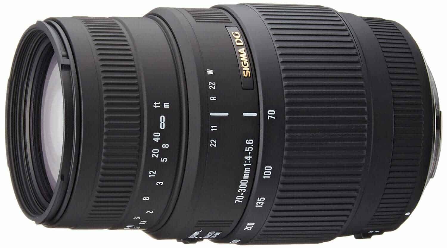 Best Macro Lens for Canon Jen Reviews