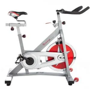 Sunny Health & Fitness Pro