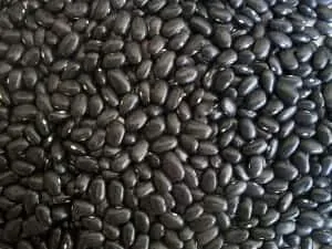 blackbeans