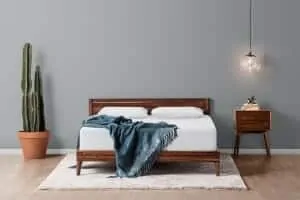 Tuft-&-Needle-Mattress