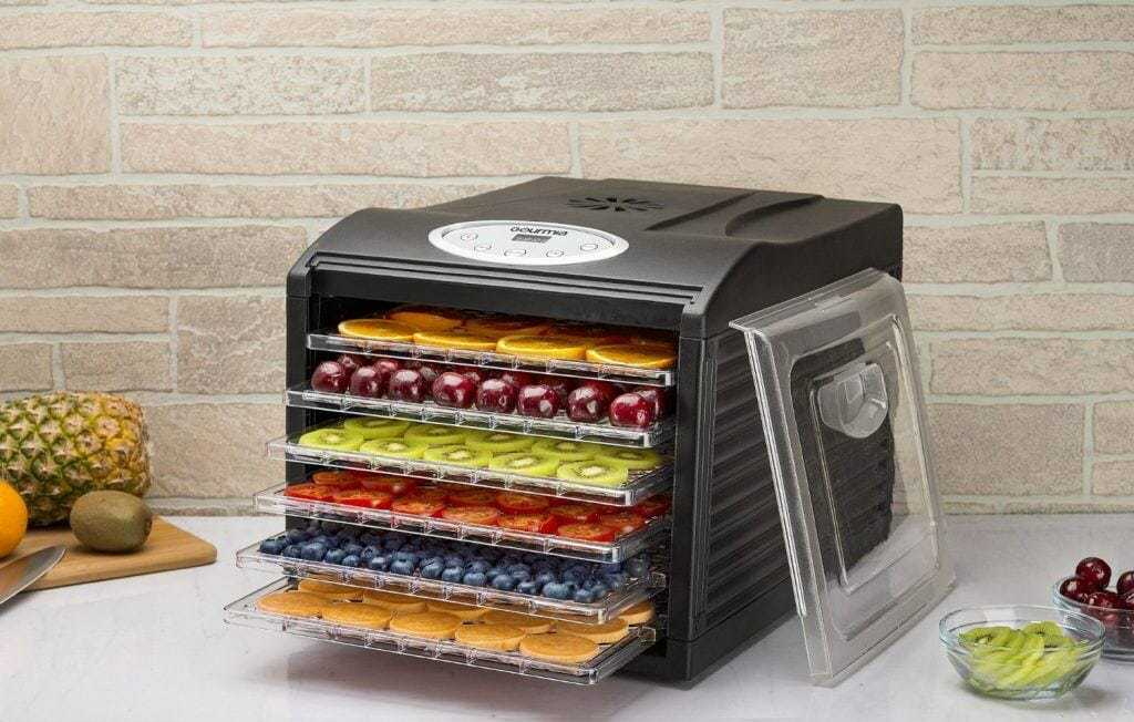Best Dehydrator Jen Reviews