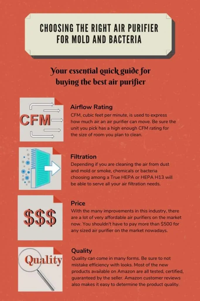 Air purifier for mold