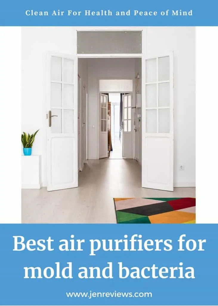Best air purifier for mold