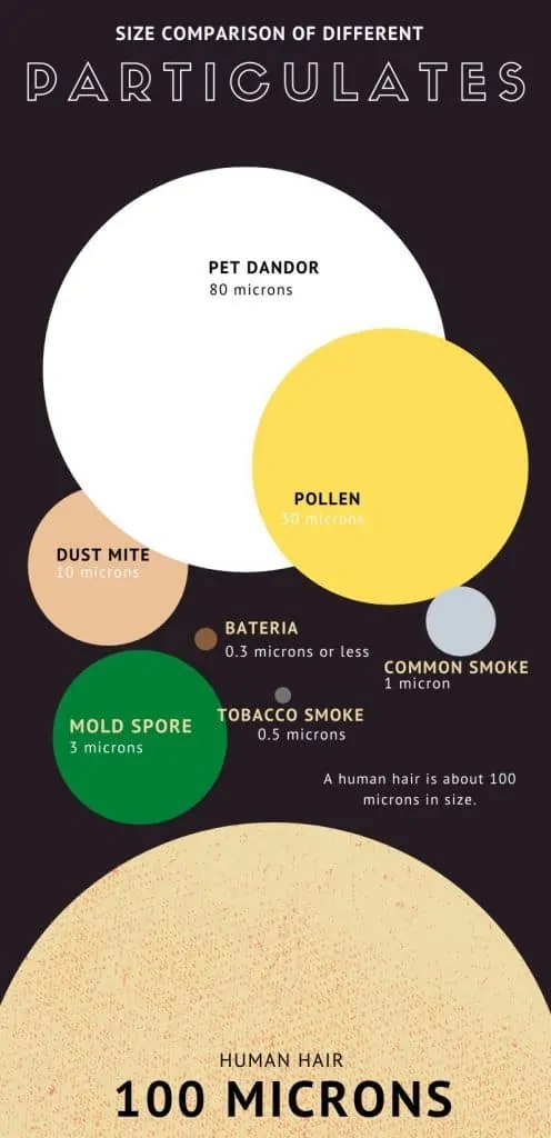 Particulates Size