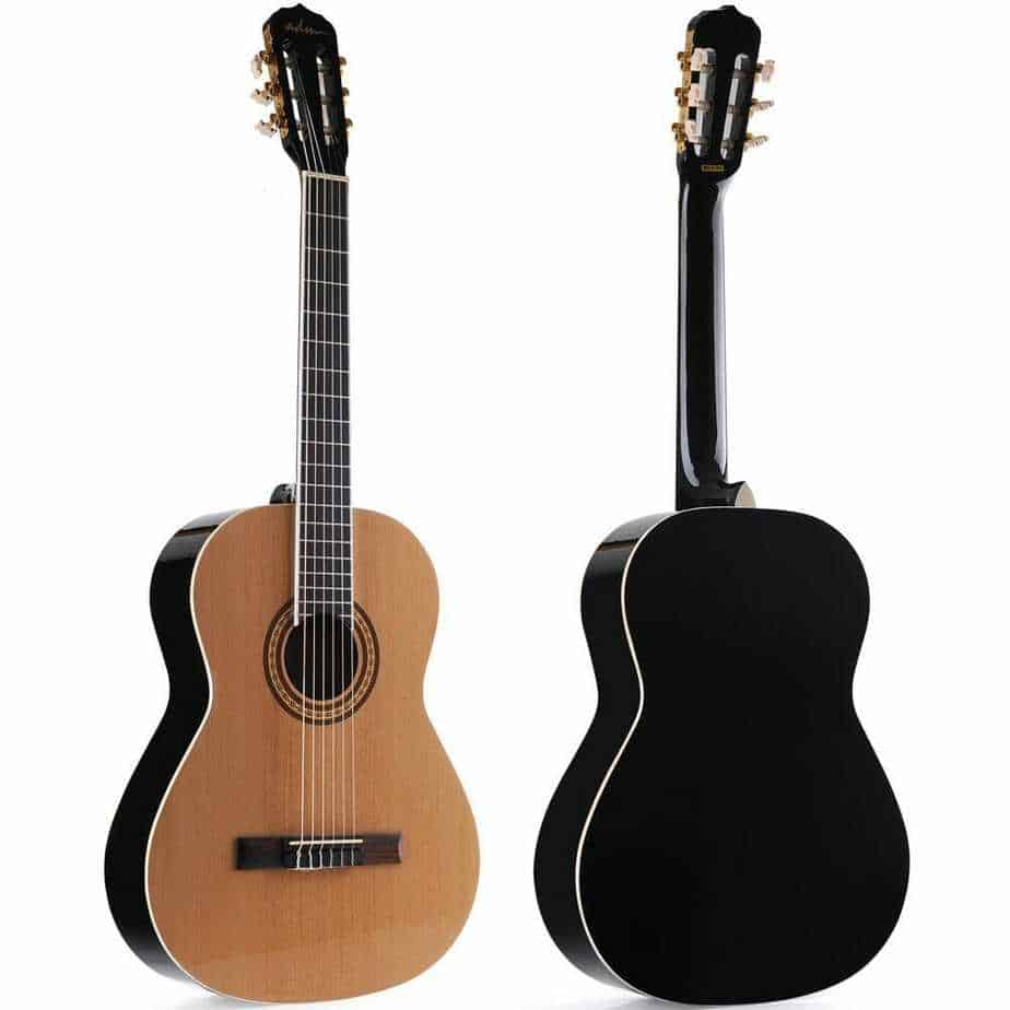 Best Acoustic Electric Guitar Jen Reviews