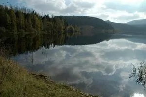 14-harz