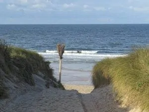 54-sylt