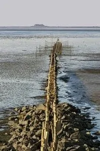 62-wadden-sea
