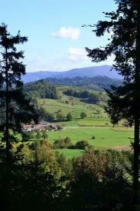 8-black-forest-983222_960_720