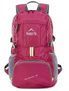 venturepalbackpack