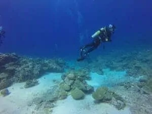 10. dive