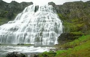 21. dyjandi