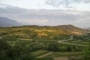 56. Vipava Wine Road