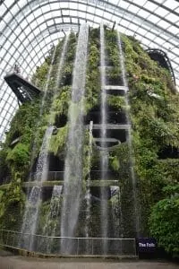 Gardens by the Bay Cloud Forest