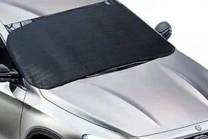 bigantwindshield