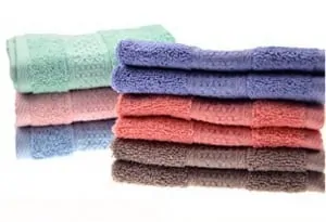 cleanbear