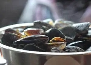 mussels 811759 1280