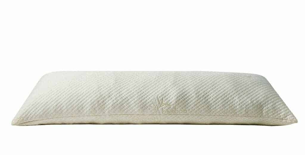 Best Bamboo Body Pillow Jen Reviews
