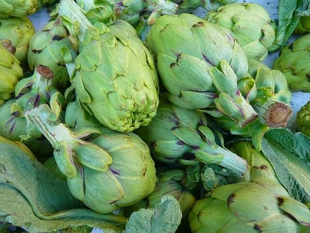 artichokes 5355 640