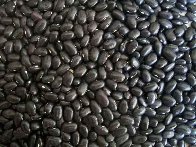 black beans 14522 640