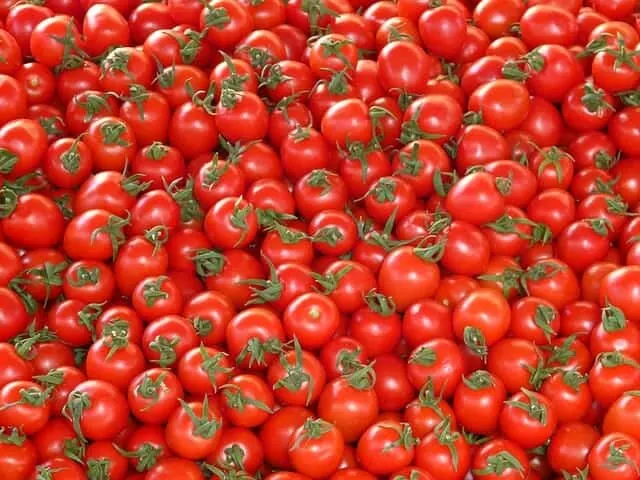 tomatoes 73913 640