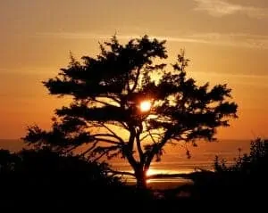 13kalaloch
