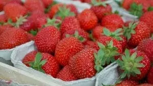 17strawberryfestival