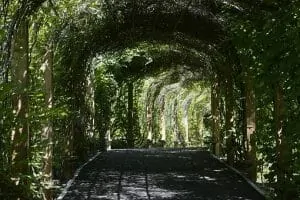 19. Botanical gardens 1754577 340