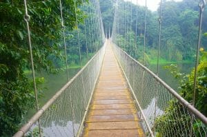 41. hanging bridge 1985151 960 720