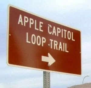47applecapitalloop