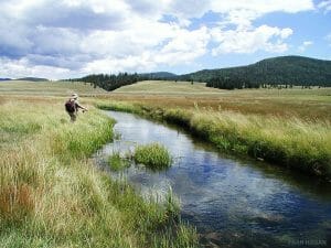 Fly Fishing in Dullstroom