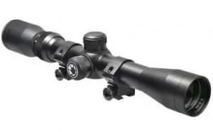 plinker22