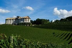88. Wine Valley . Bento Gonçalves