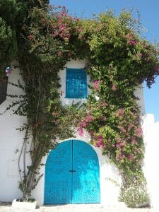 29. Sidi bou said tunisia 9957 960 720