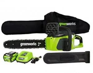 GreenWorks 1