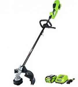 GreenWorks21362
