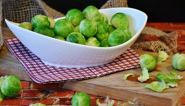 brussels sprouts 1856706 640