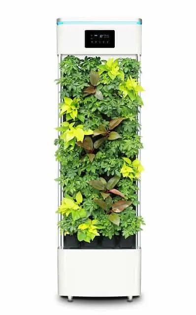 smart plant air purifier 2397587 640