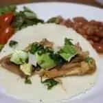 Mexican Carnitas First Pic