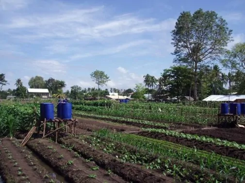 strawbalegarden 11