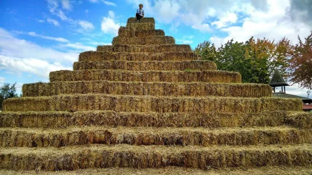 strawbalegarden 4