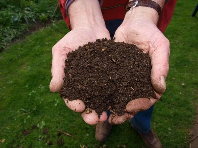 strawbalegardenimage1